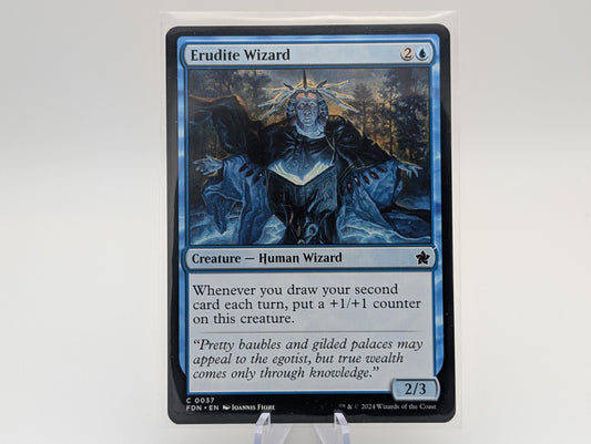 Erudite Wizard (NM) U153